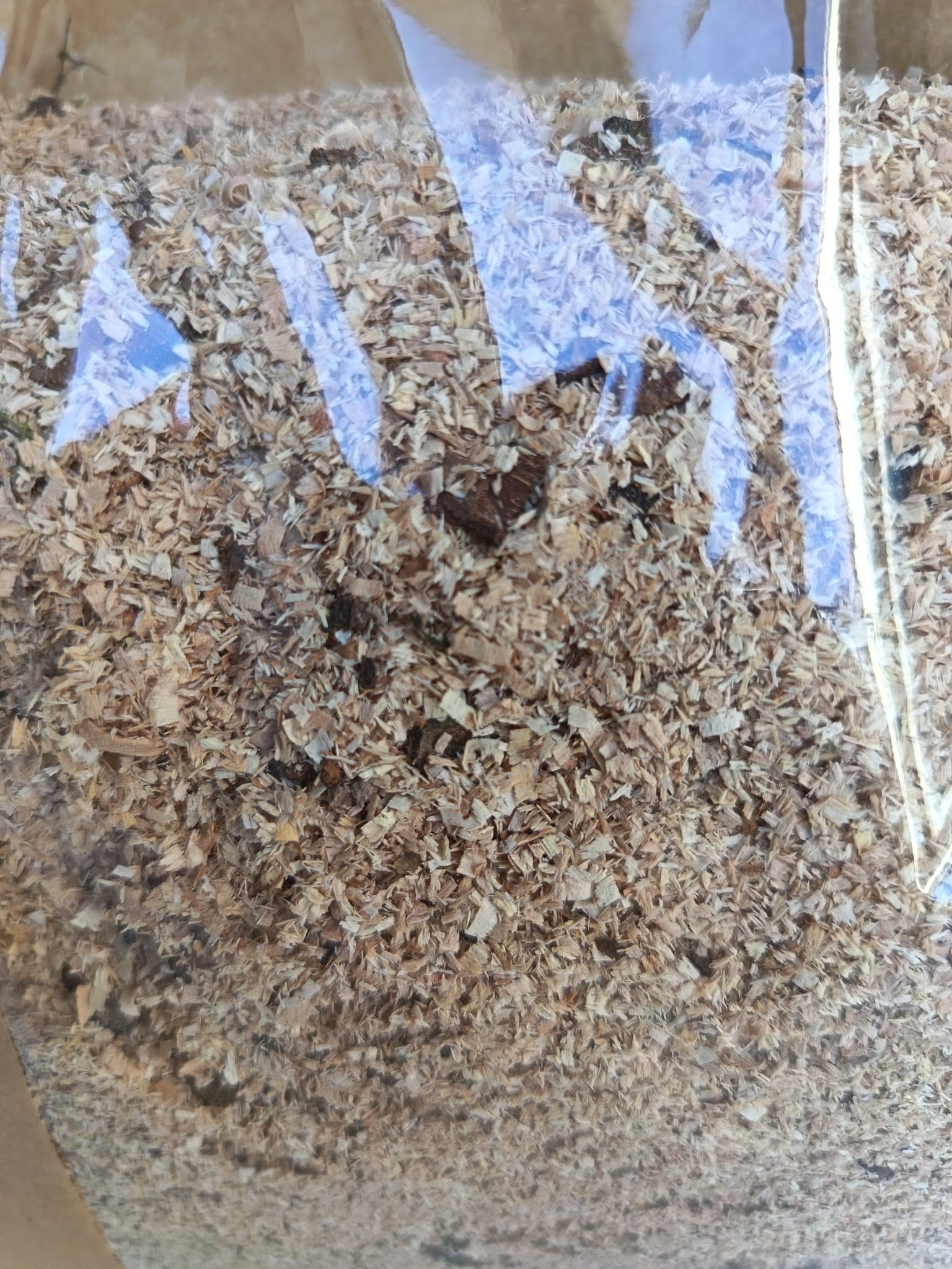 Segatura Fina Multiuso 100% Naturale e Italiana da 0,5 kg – Mix Pregiato di Carpino, Frassino e Rovere | Per Affumicatura, Lettiere e Protezione Orto Eco-Sostenibile (Copia) - immagine 3